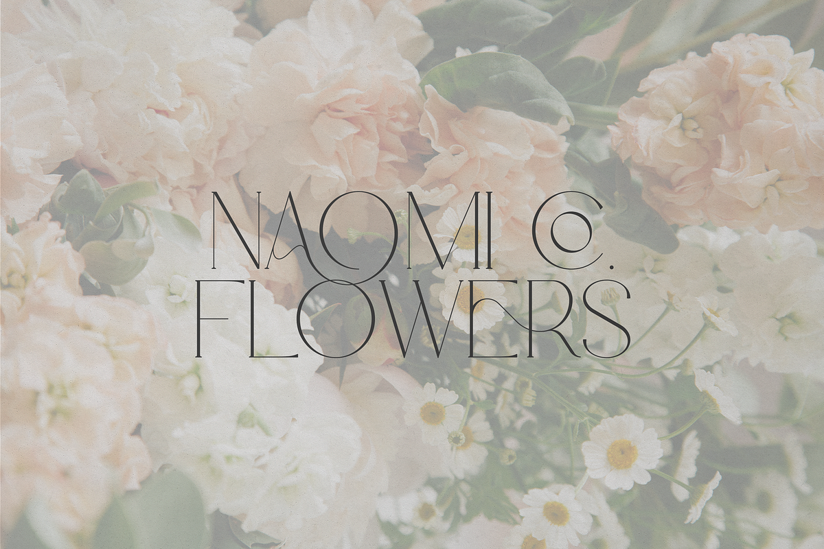 Hidden Gem Serif + Cyrillic and more, a Serif Font by VP Fonts (Photo 13 of 22)