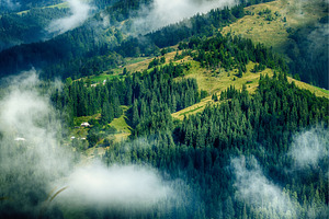 Foggy morning landscape, a Nature Photo by Nature and travel