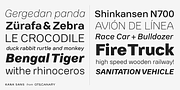 Kana Sans, a Sans Serif Font by GT&CANARY (Thumbnail 2 of 6)