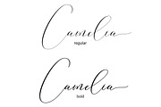 Washington Calligraphy Modern, a Script Font by Teweka (Thumbnail 9 of 19)
