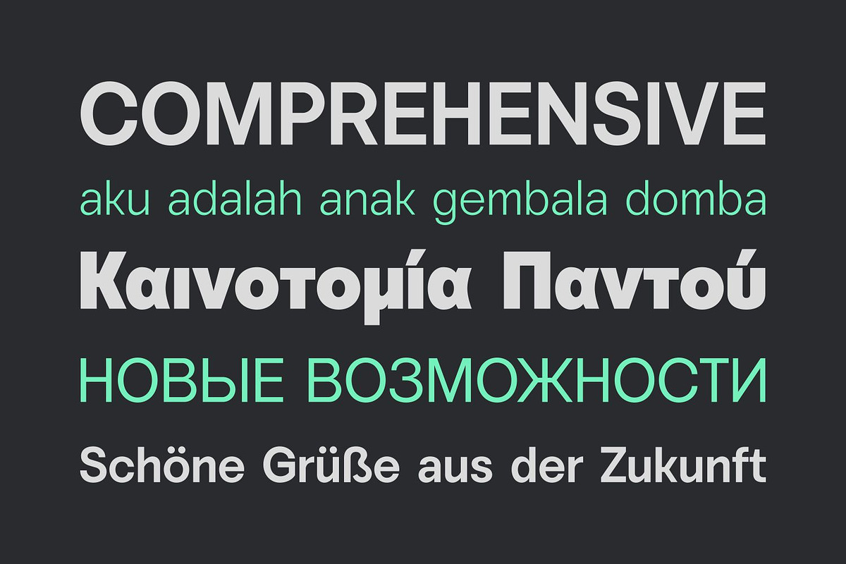 Vontica Sans Font Family, a Sans Serif Font by Asenbayu (Photo 3 of 15)