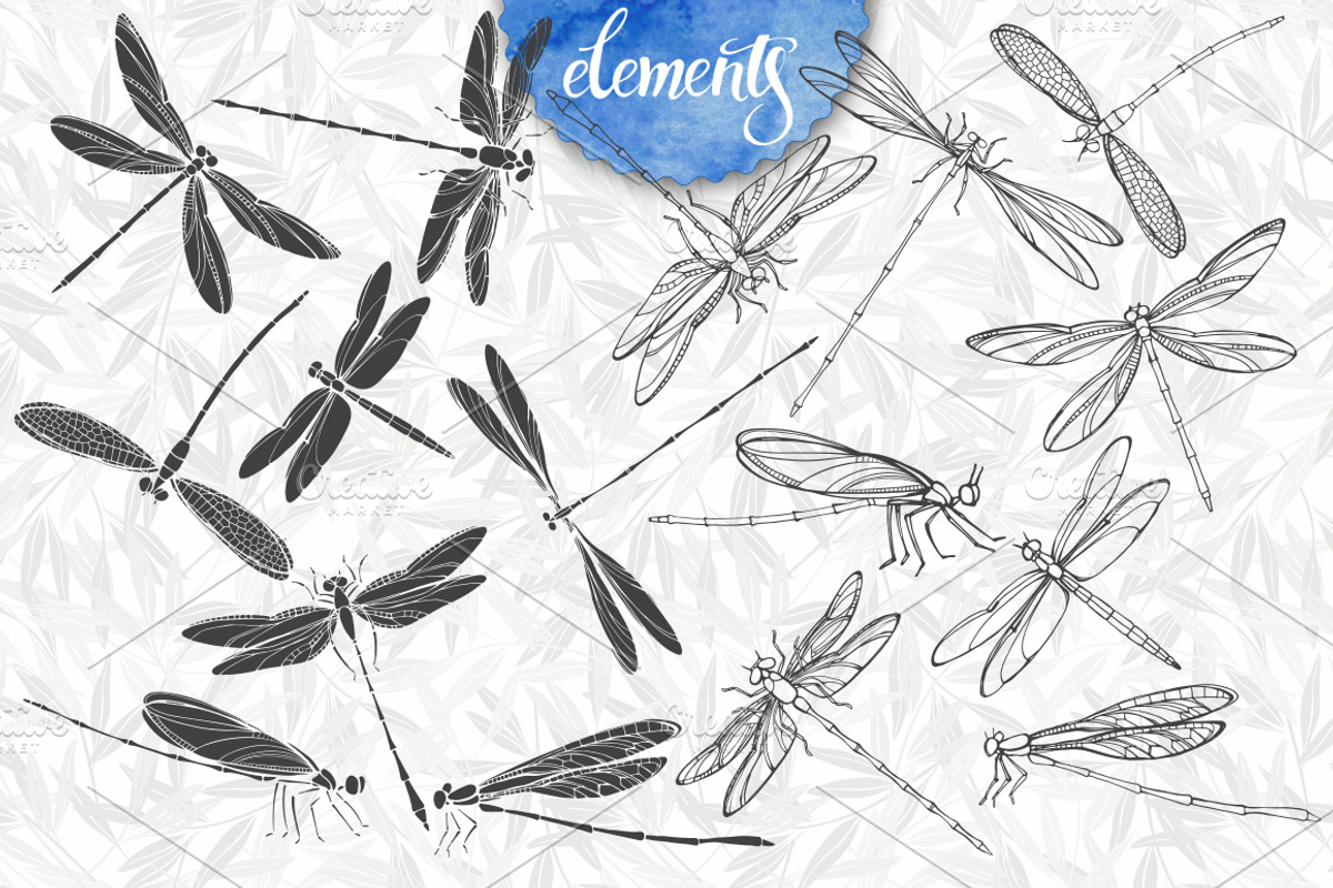 Dragonflies., an Object Graphic by maritime_m (Photo 4 of 7)