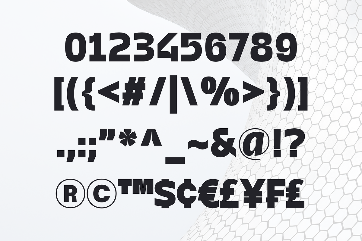 Signate Grotesk - Black Style, a Sans Serif Font by Sign Studio (Photo 9 of 9)