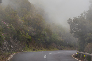 Winding mountain road in thick fog through green forest, mysteri, a Photo by Pictures for you!!!!!!!!!