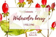 Watercolor berry, a Food Illustration by Ann Astro (Thumbnail 1 of 5)