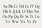 The New Seasone, a Serif Font by RockboyStd (Thumbnail 9 of 12)