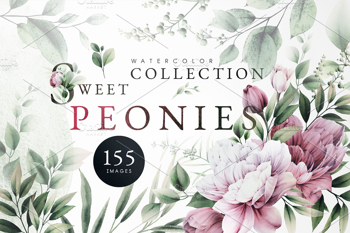 WATERCOLOR BUNDLE Peonies & Roses, an Illustration by ollalya (Photo 87 of 101)