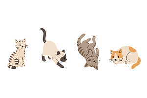 Set of four cartoon cats. Flat, an Animal Illustration by GraphiShop