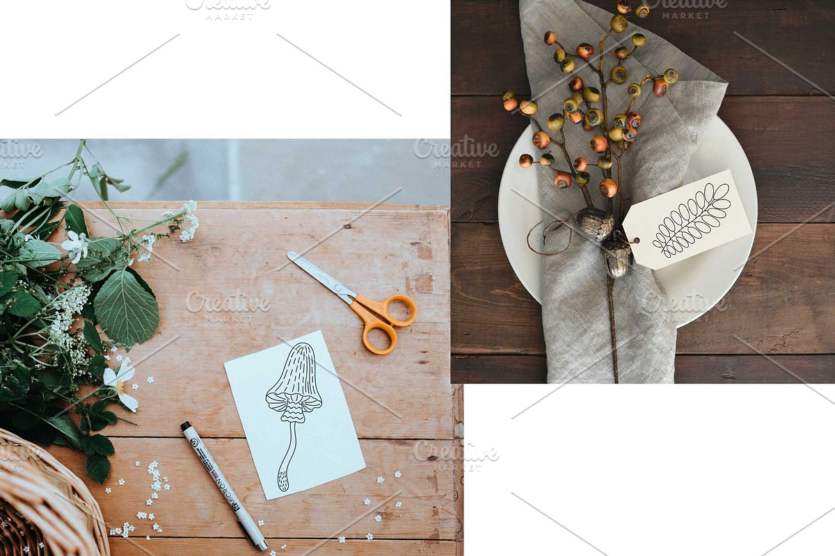 Mushroom Harvest Autumn Doodle Set, a Seasonal Illustration by Contes_de_fée (Photo 7 of 9)