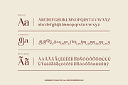 Bela Serfane Elegant Serif Font, a Serif Font by Rasio Studio (Thumbnail 2 of 11)