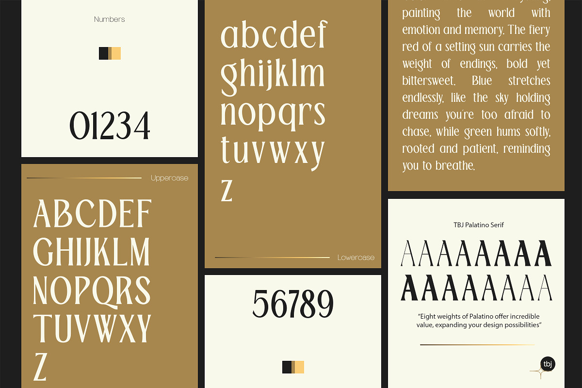 TBJ Palatino San serif With Serif, a Serif Font by Taboja Studio (Photo 2 of 26)