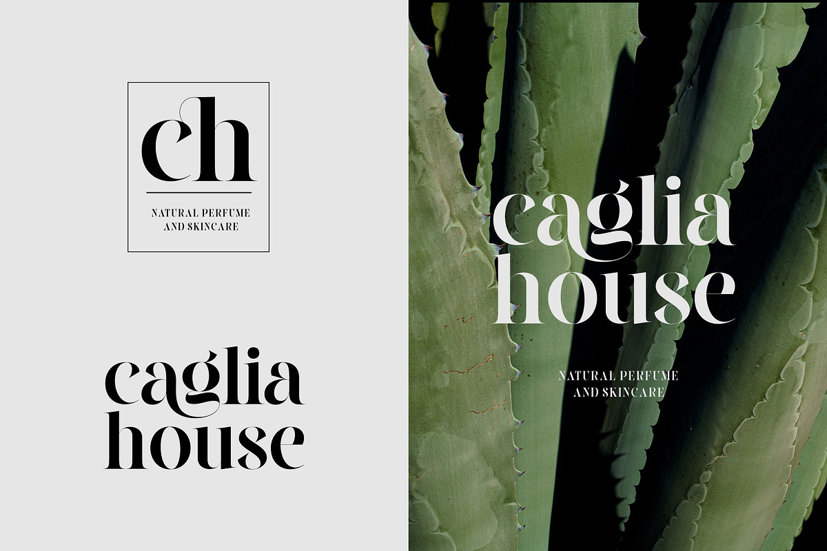 Cilager - Modern Serif Typeface, a Serif Font by Graptail (Photo 7 of 14)