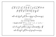 Westerning - Brush Signature, a Handwritten Font by tebaltipislab (Thumbnail 11 of 12)
