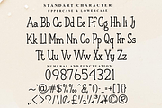 Spring Farmhouse, a Sans Serif Font by FreshTypeINK (Thumbnail 5 of 8)