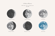 Moon Phase Illustration Set - PNGs, an Object Illustration by LaurenFittonIllustration (Thumbnail 3 of 10)