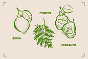 AROMATHERAPY (26 illustrations), a Healthcare Illustration by Bonfloret Studio (Thumbnail 7 of 11)