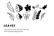 39+ Hand-Drawn Leaves Illustrations, an Object Illustration by The Journey Atelier (Thumbnail 2 of 5)