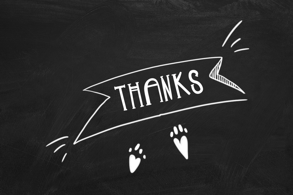 LAZY MEOW. Handwitten fonts+cliparts, a Handwritten Font by Ivanna-Ivashka (Photo 12 of 12)