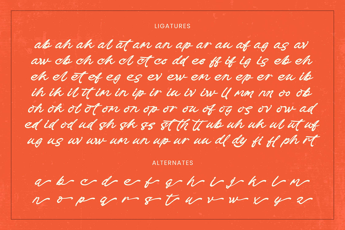 Check Unite Modern Brush Font, a Script Font by stylishtype.co (Photo 19 of 20)