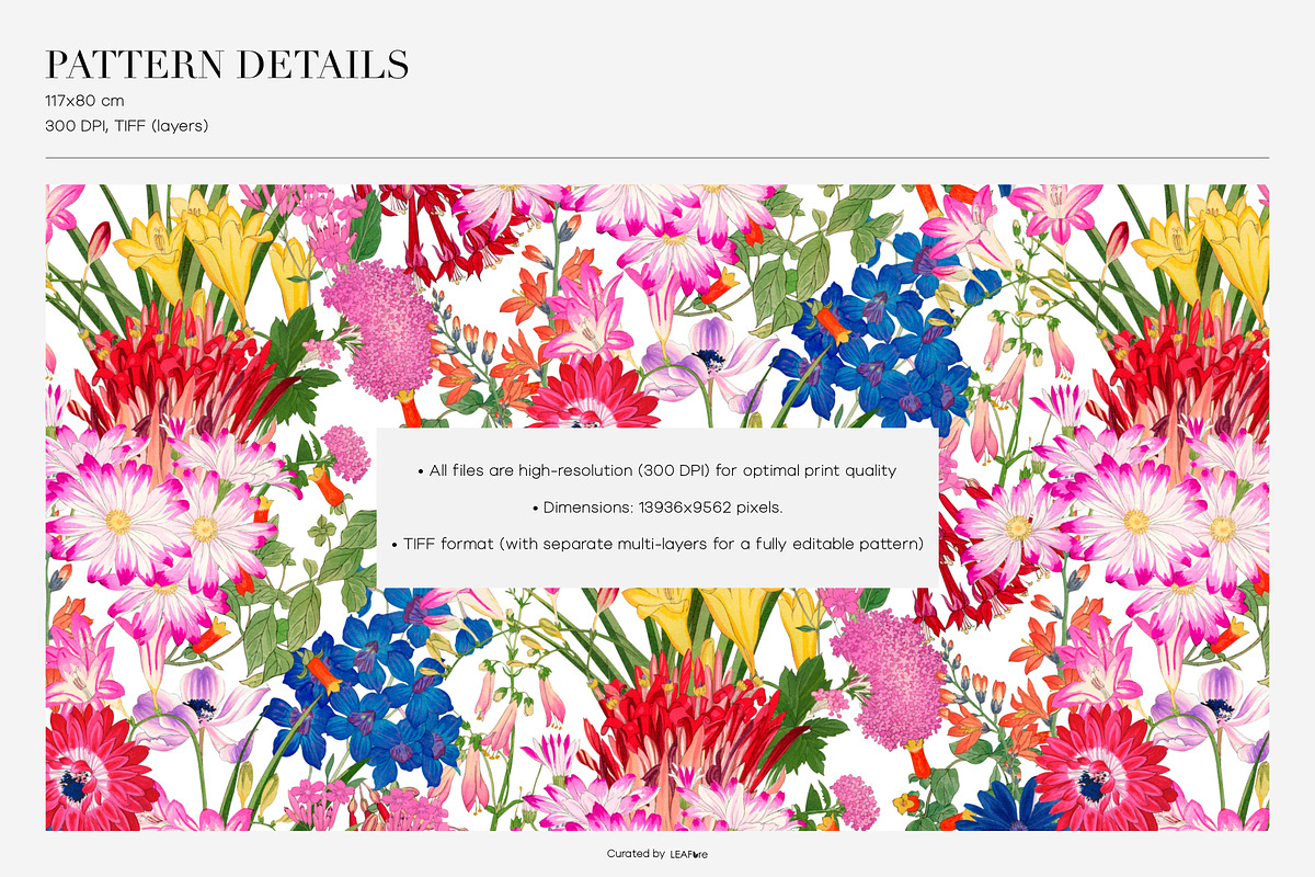 Vibrant Seamless Floral Patterns, a Pattern Graphic by LEAFure (Photo 3 of 10)