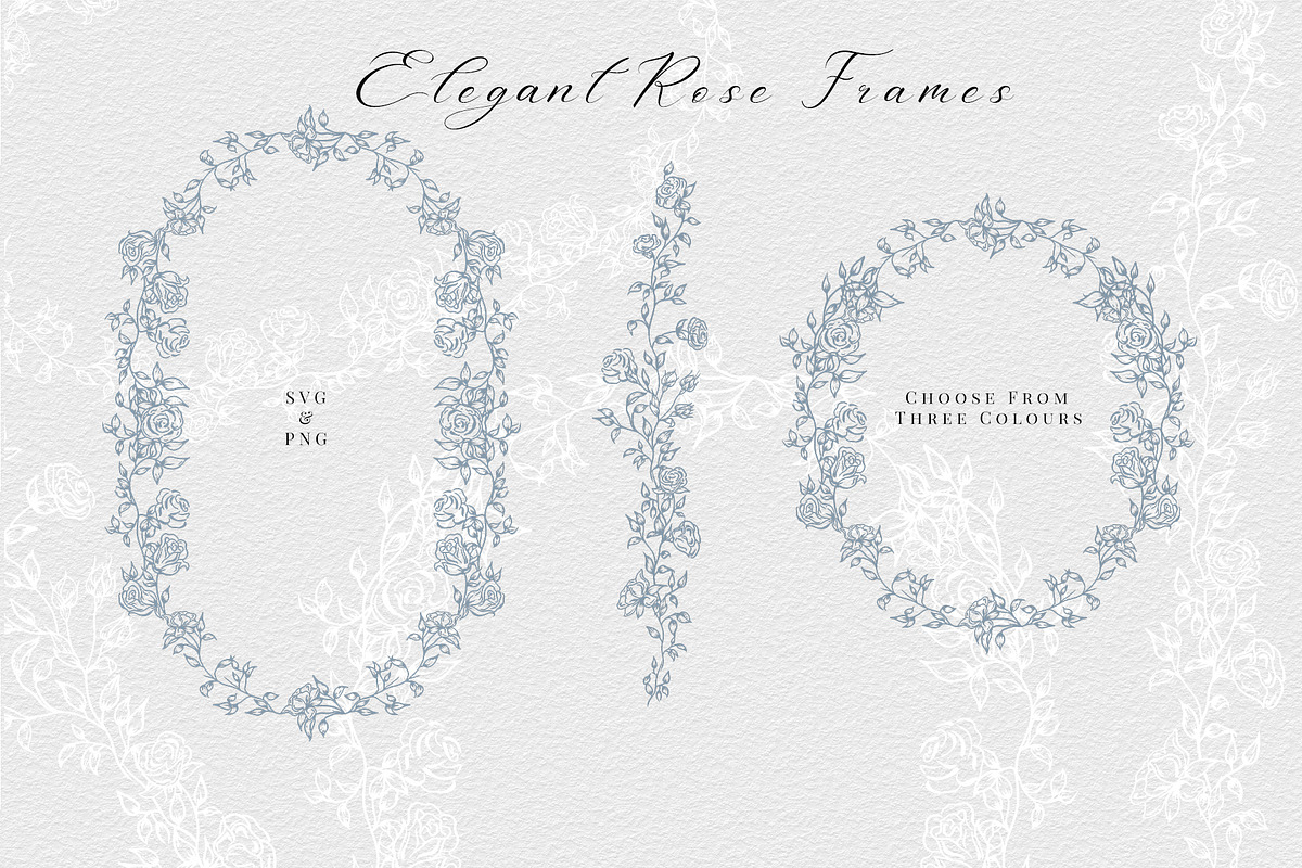 Elegant fine-line Rose Frames, a Decorative Illustration by AW Studios