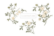 Bramble Bloom Seamless Pattern, a Pattern Graphic by MouseGrey (Thumbnail 16 of 17)