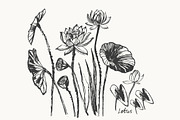 Lotus floral set, a Decorative Illustration by katya.bogina (Thumbnail 5 of 5)
