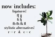 Farewell Angelina Display serif font, a Serif Font by Ana's Fonts (Thumbnail 7 of 9)