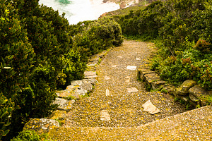 Cape Of Good Hope Pathway, a Nature Photo by THP Creative