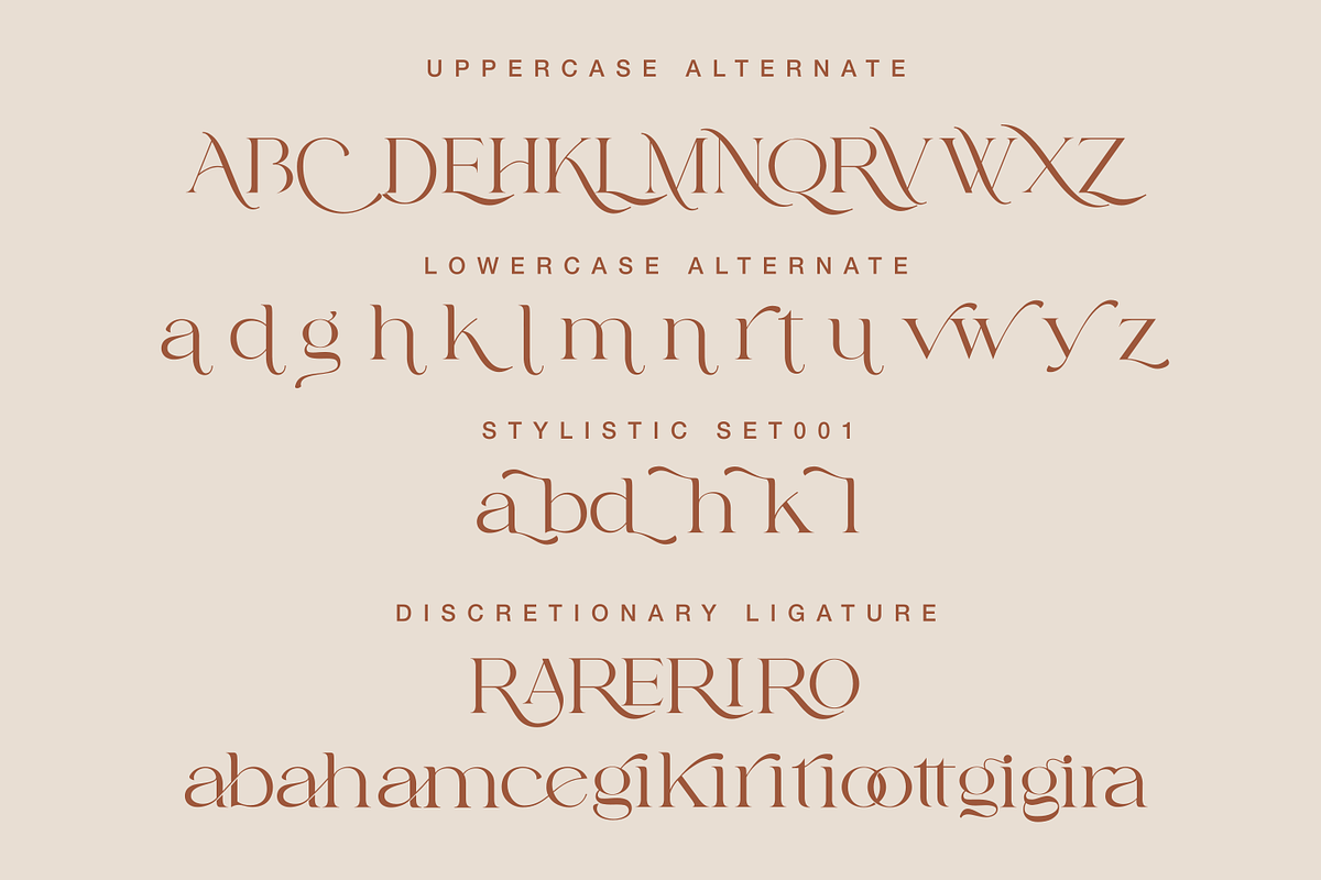 Fragile Chique Serif Font, a Serif Font by zeenesia (Photo 12 of 15)