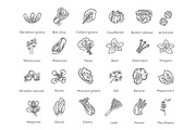 Green Salad Leaves. Vector icons, a Food Illustration by Tettygreen (Thumbnail 3 of 3)