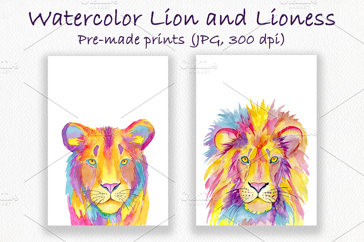 Watercolor Lion and Lioness, an Animal Illustration by ArtIrisArt (Photo 2 of 8)