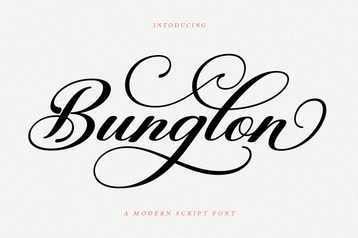 Bunglon Script, a Script Font by Has_rizal (Photo 13 of 13)