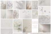 Blur Botanical Vellum Backgrounds, a Background Graphic by alonahaidash (Thumbnail 8 of 14)