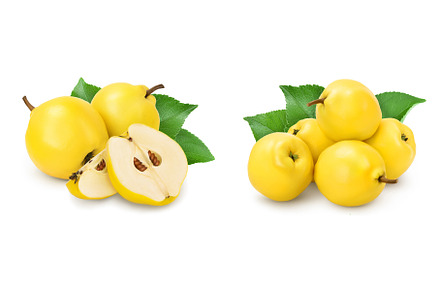 Fresh quince with half isolated on, a Food & Drink Photo by NataPhoto