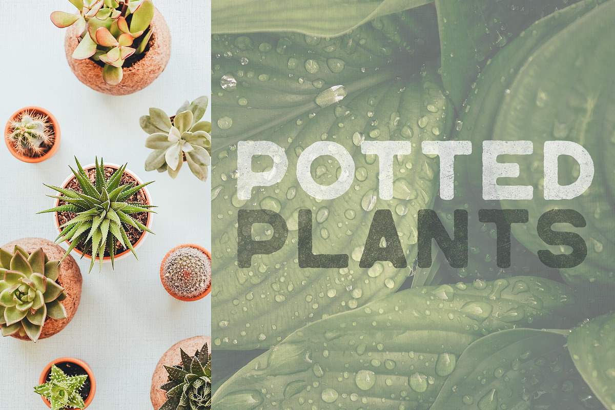 Lagom SVG font + 2 rough OTF fonts, a Font by VP Fonts (Photo 7 of 8)