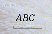 Long Cursive, a Slab Serif Font by Wow Magic (Thumbnail 2 of 2)