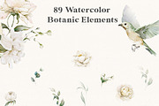 Watercolor White Flowers Collection, a Decorative Illustration by Damian Roh (Thumbnail 4 of 16)