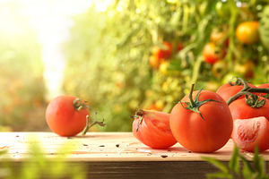 Fresh Tomatoes on Rustic Garden Table, a Food & Drink Photo by Davizro's Market