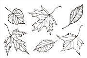 Fall leaves patterns+illustrations, a Decorative Illustration by IreneArt illustrations (Thumbnail 2 of 7)