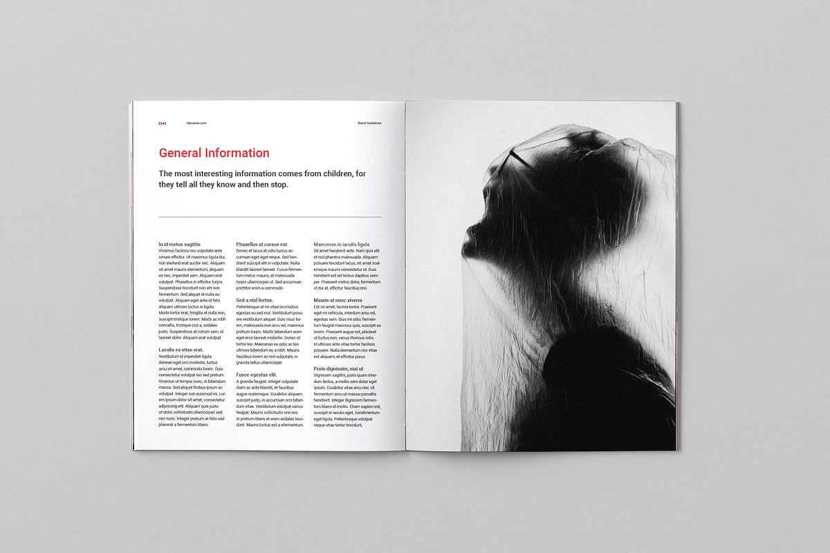 Brand Guidelines, a Brochure Template by BOXKAYU (Photo 13 of 15)