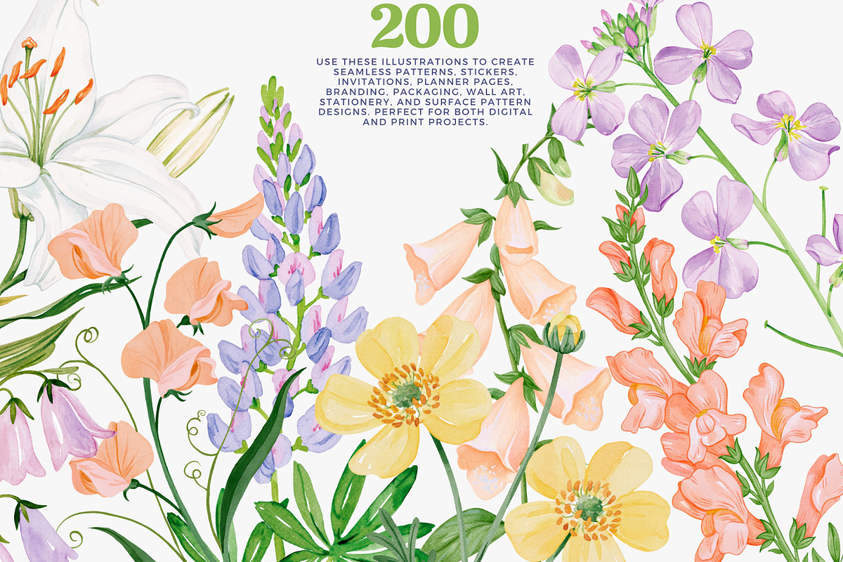 Flower Clipart Huge Bundle, a Decorative Illustration by Patishop Art (Photo 3 of 11)
