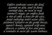 Palace Serif Typeface, a Serif Font by Tropical Type (Thumbnail 13 of 13)