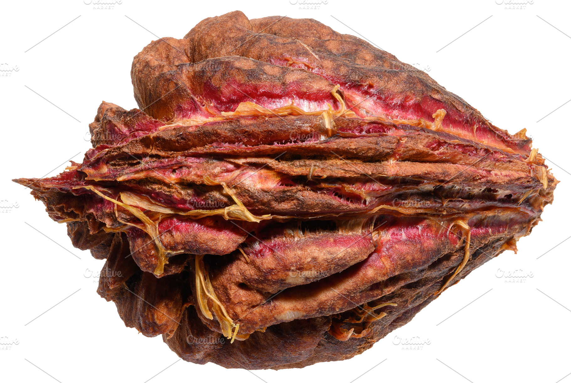 Peach or apricot pit with a rough texture on an isolated backgro, a Nature Photo by ndanko