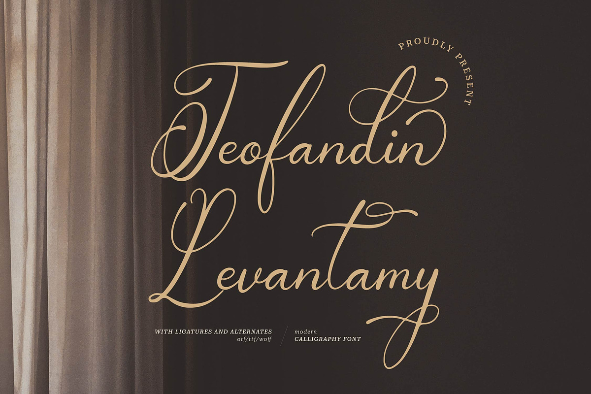 Teofandin Levantamy | Wedding Script, a Script Font by Denustudios (Photo 1 of 14)