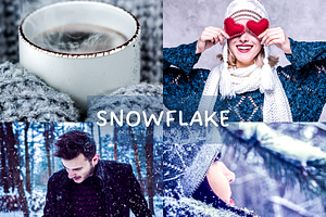 10 Snowflake Lightroom Presets, a Preset Add-On by RamsaGraphi