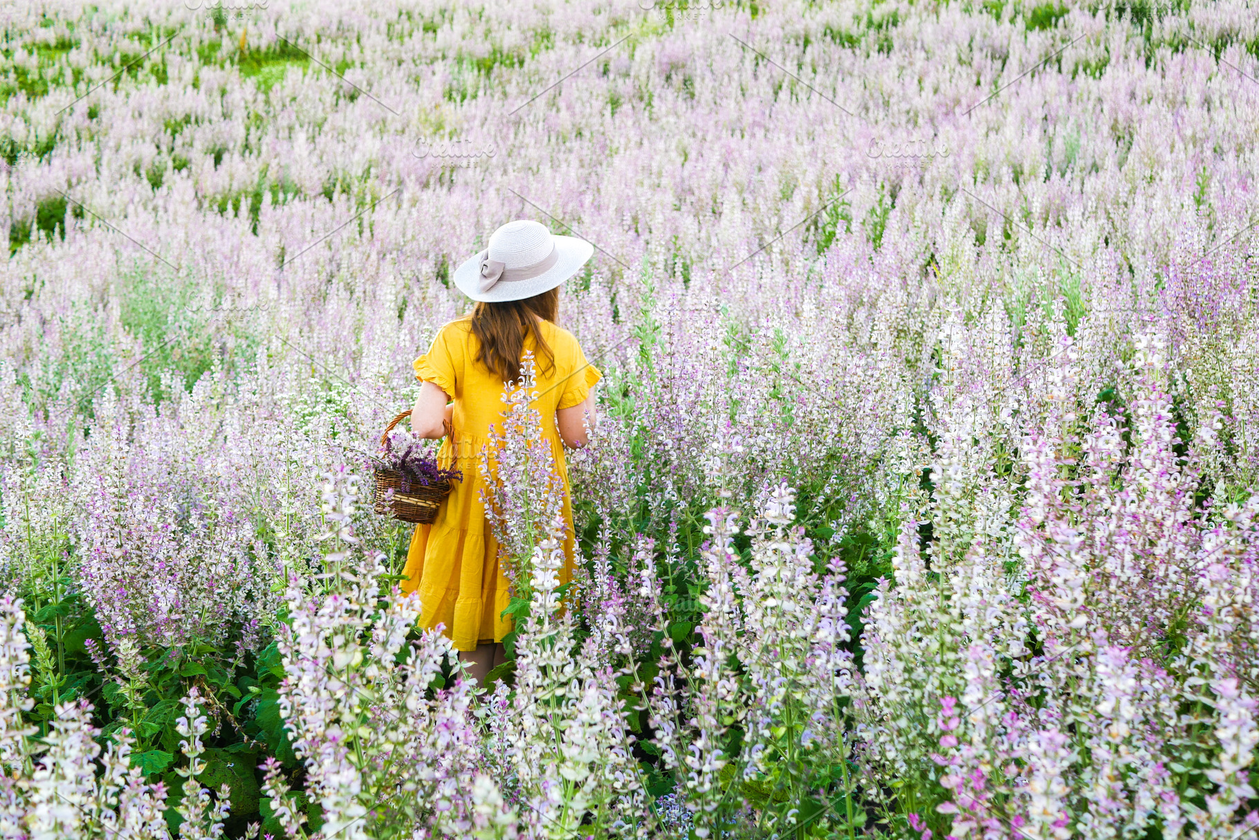 Girl in the field of flowering sage featuring magic, dress, and magenta, a Nature Photo by E+A Store