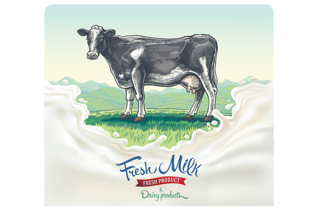 Set illustrations for milk label, a Food Illustration by Countryside life (Photo 2 of 7)