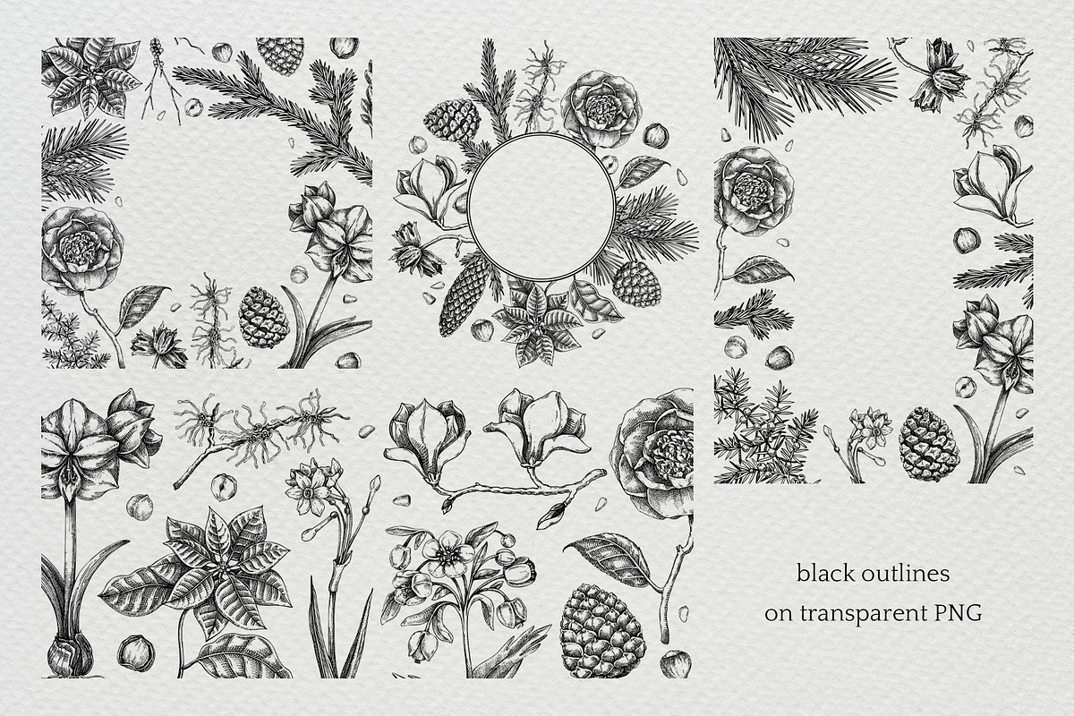 Winter Flowers Christmas Collection, a Seasonal Illustration by Yevheniia (Photo 8 of 12)