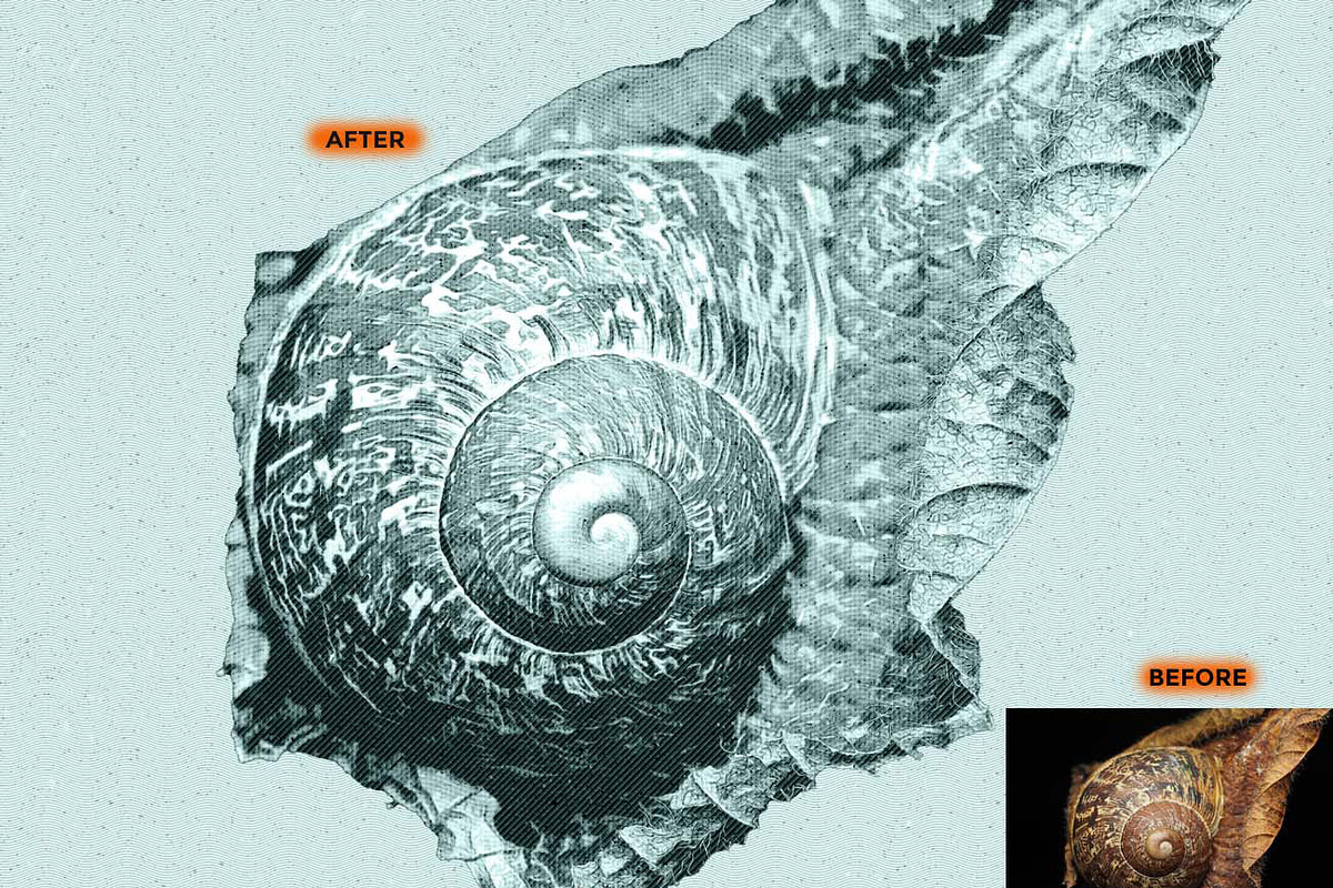 SCRATCHBOARD INK ENGRAVING FX, an Action Add-On by Studio Retouch (Photo 6 of 12)